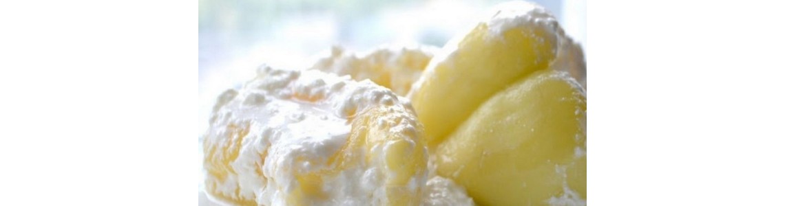 Soka ile Vejetaryen Sofralara Balkan Dokunuşu: Lezzet Kombinasyonları